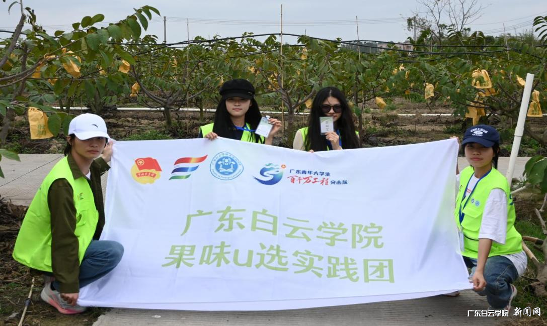 ͼƬ 3.png ͼƬ 3.png