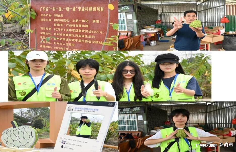 ͼƬ 2.png ͼƬ 2.png