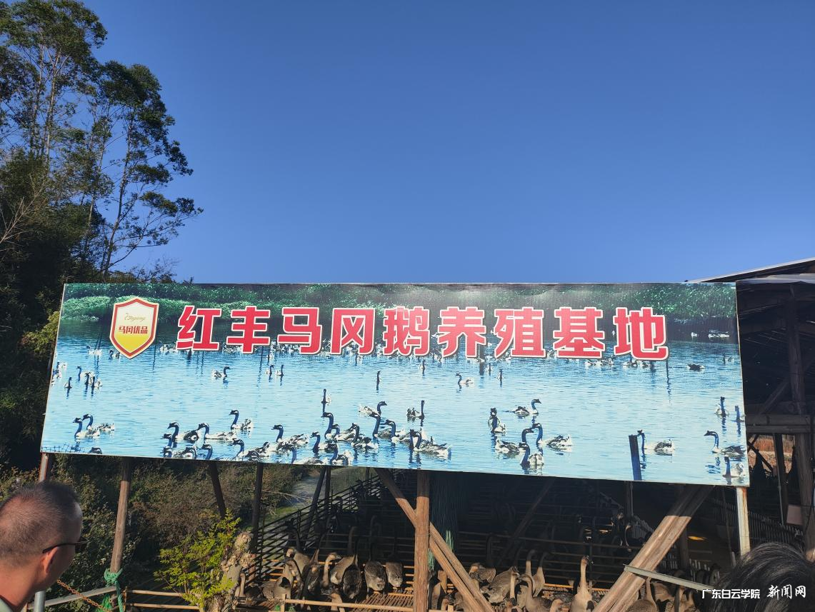 ͼƬ 7.png ͼƬ 7.png