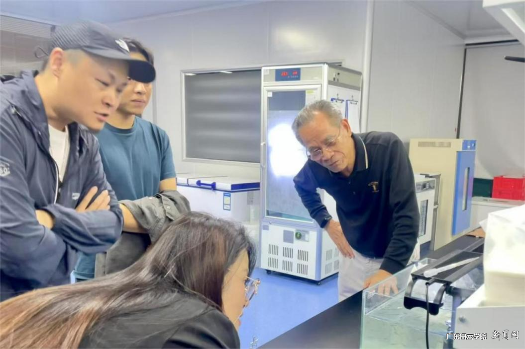 图片 5.png 图片 5.png